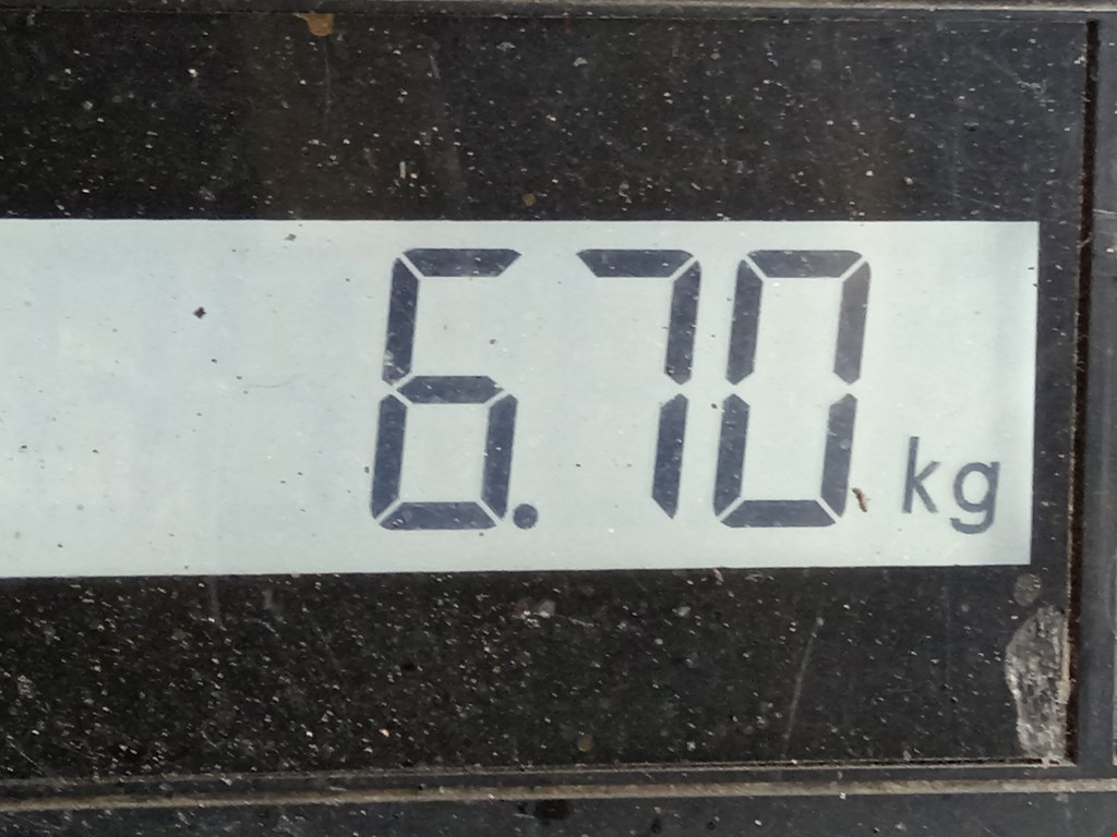 Амортизатор передний левый OPEL Astra H/Family 2004-2015