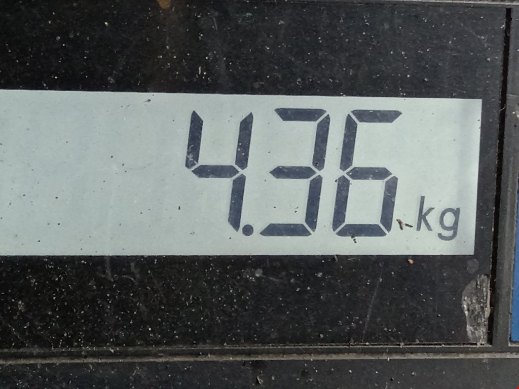 Рычаг передний левый JAGUAR S-Type 1999-2008