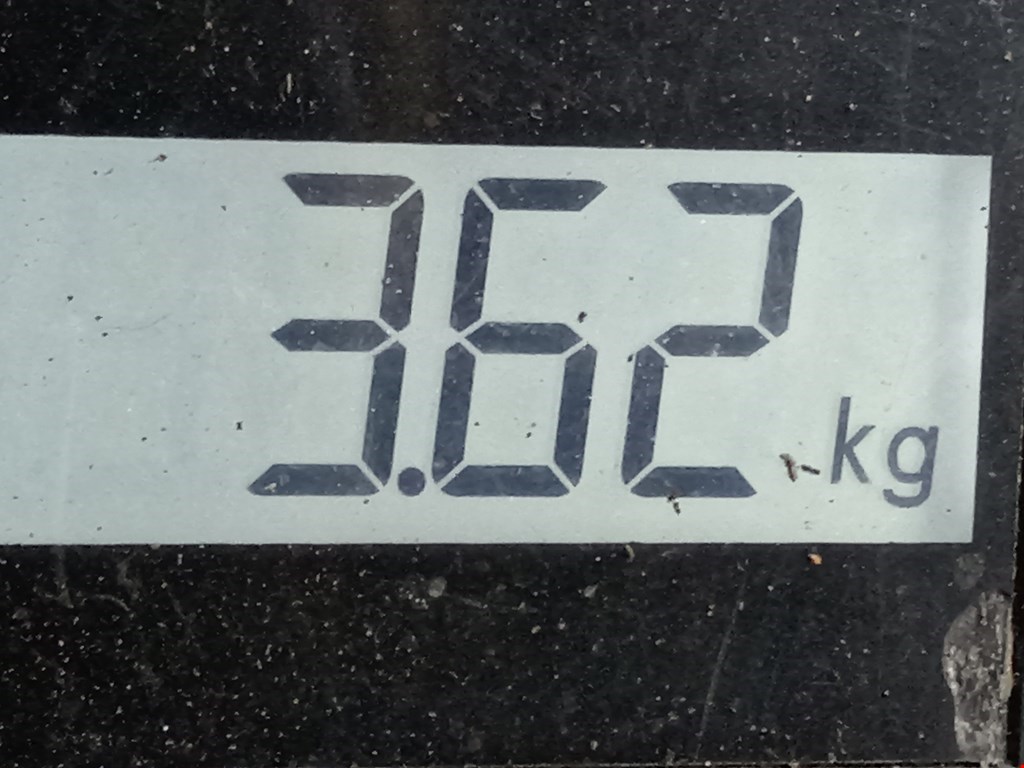 Суппорт задний правый FORD Mondeo III 2000-2007