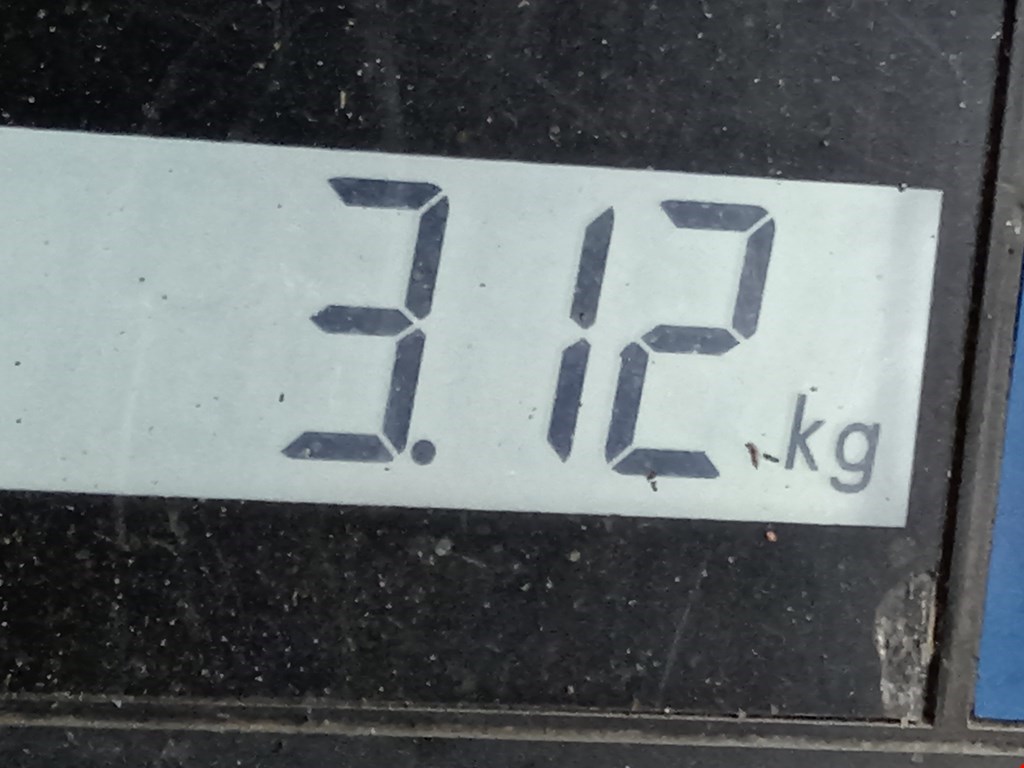 Суппорт задний левый VOLKSWAGEN Transporter T5 2003-2015