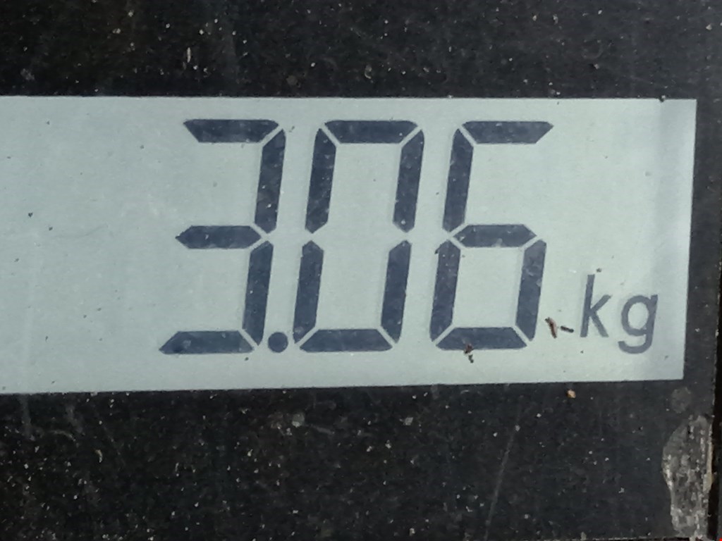 Суппорт задний левый VOLKSWAGEN Passat B6 2005-2011