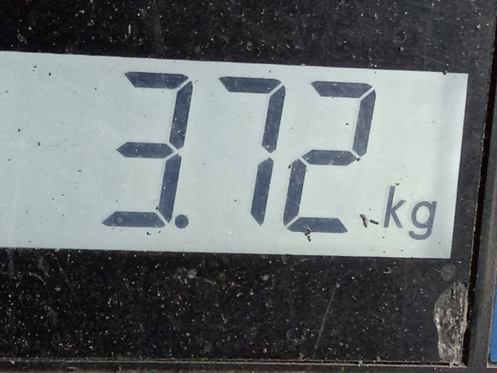 Компрессор кондиционера (системы кондиционирования) TOYOTA Corolla E120 2001-2006