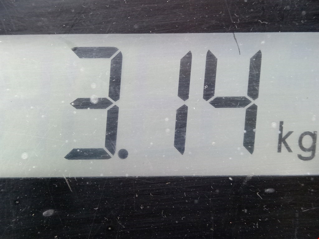 Шторка багажника (полка) RENAULT Espace 2003-2014