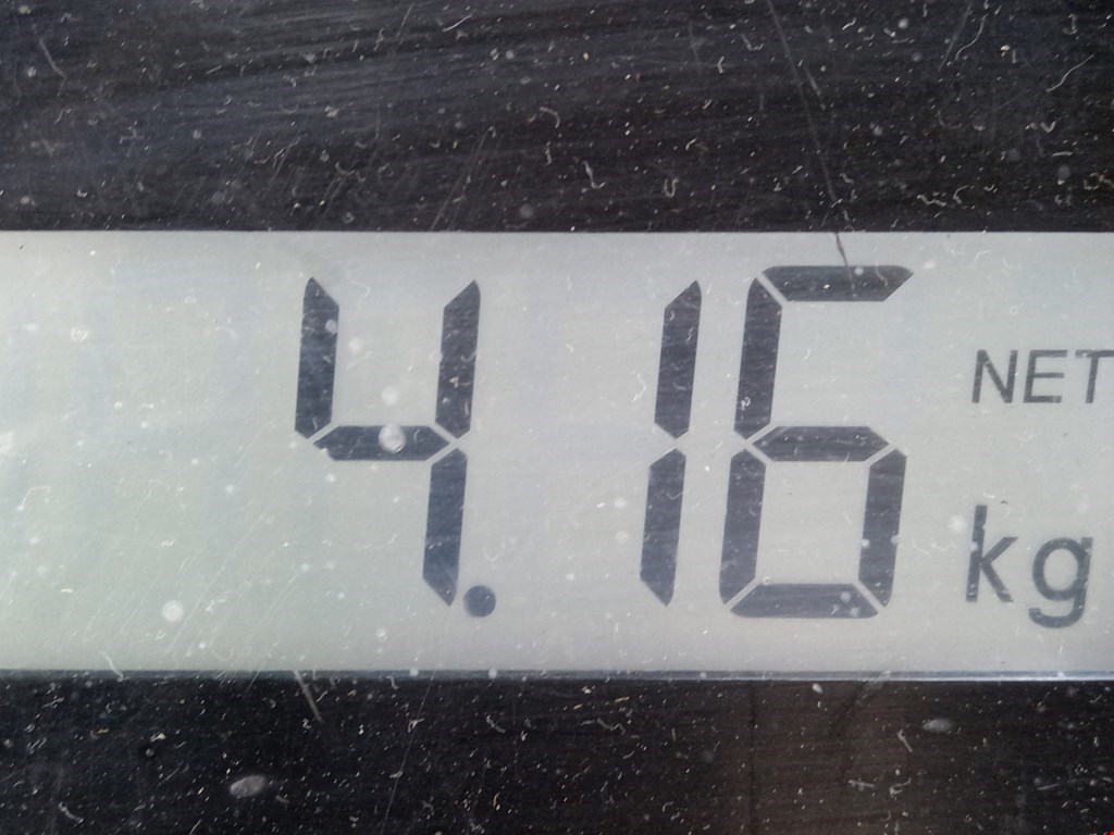 Обшивка двери передняя правая RENAULT Scenic II 2003-2010