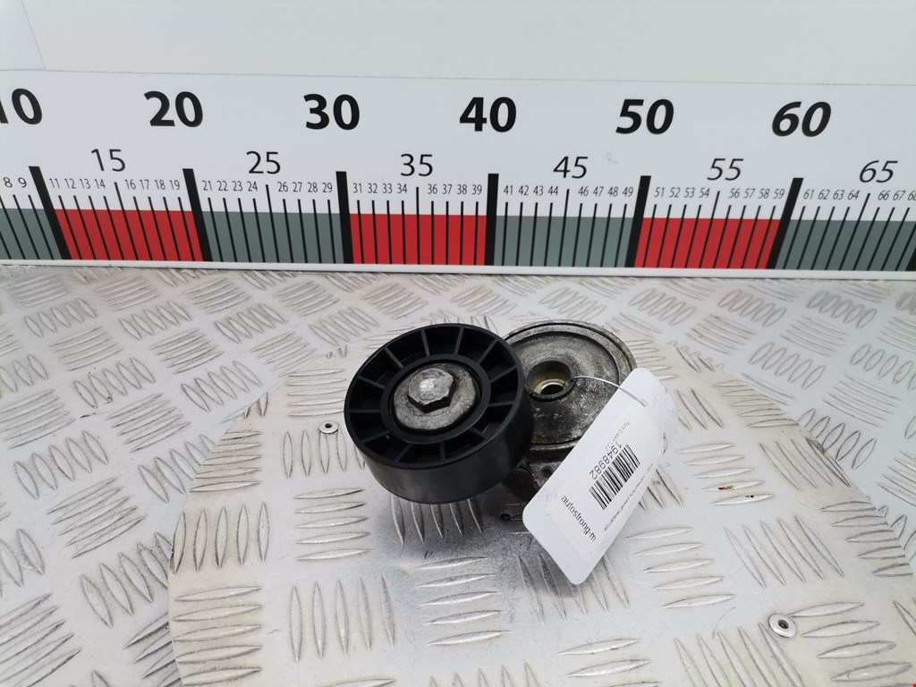 Натяжитель ремня генератора (приводного поликлинового ремня Ford C-MAX 1 (2003-2010)