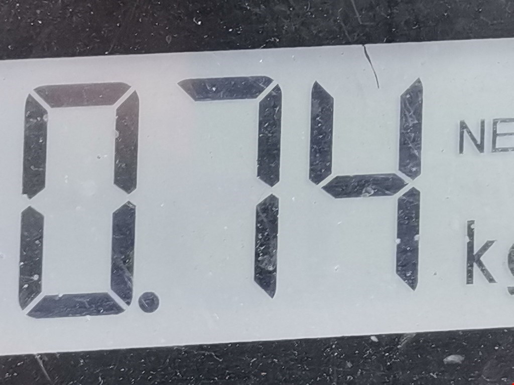 Ролик двери сдвижной (левый/правый средний верхний/нижний) RENAULT Kangoo 2008-2021