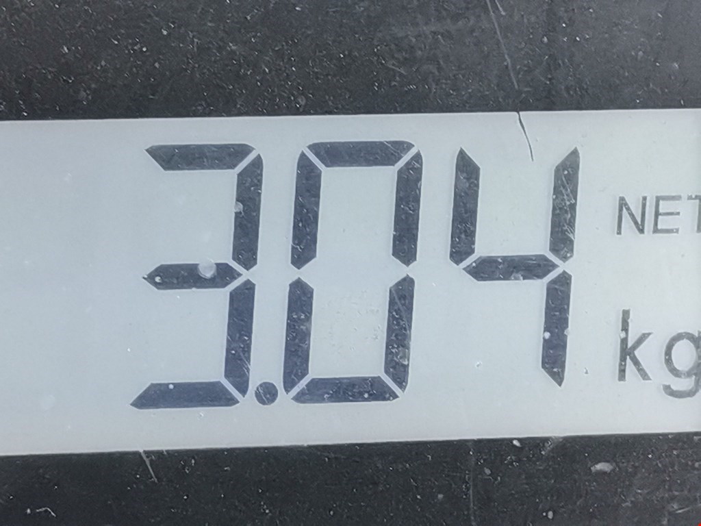 Пружина задняя левая/правая RENAULT Megane II 2002-2009