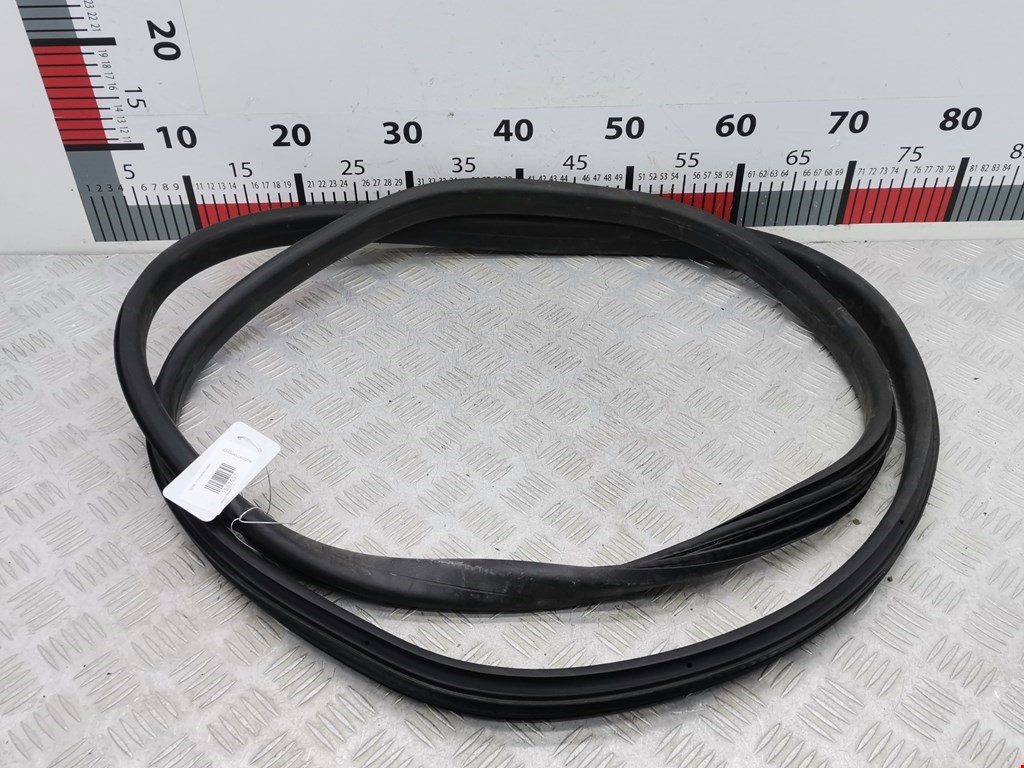 Уплотнитель двери RENAULT Megane III 2009-2016