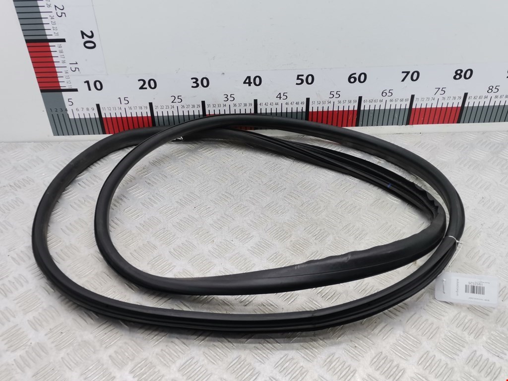 Уплотнитель двери RENAULT Megane III 2009-2016