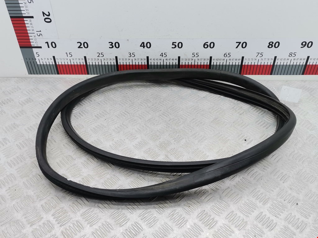 Уплотнитель двери RENAULT Megane III 2009-2016