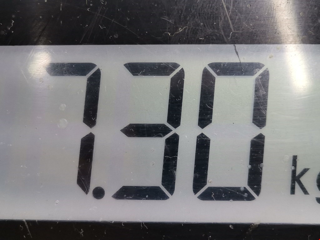 Амортизатор передний правый RENAULT Scenic II 2003-2010