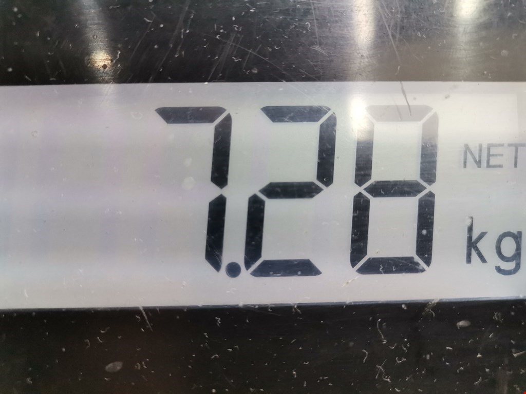 Амортизатор передний правый FORD Focus I 1998-2005