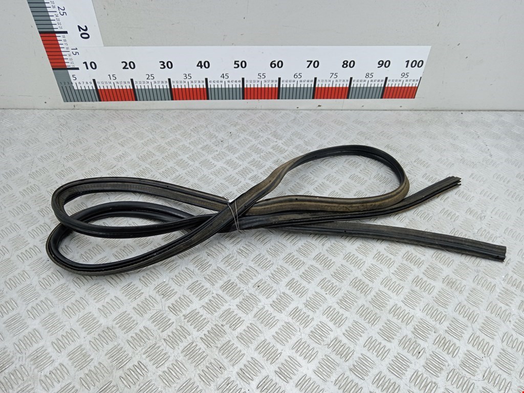 Уплотнитель (наружный) RENAULT Megane II 2002-2009