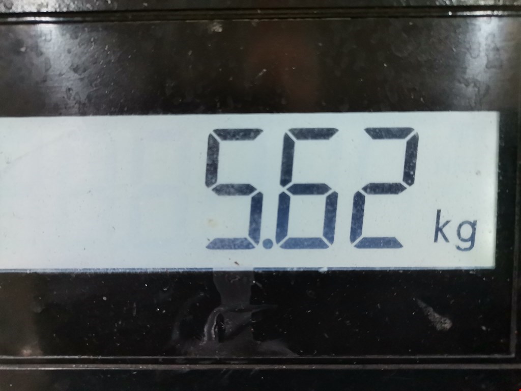 Стабилизатор передний (поперечной устойчивости подвески) OPEL Zafira B 2005-2012