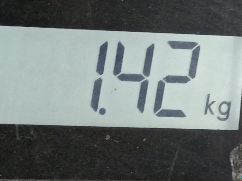 Амортизатор задний правый PEUGEOT 206 1998-2012