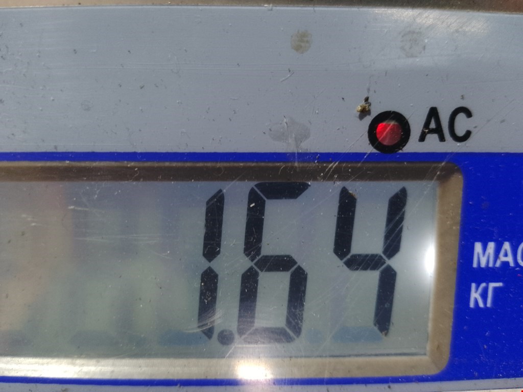 Стекло двери заднее левое HONDA Civic 4D 2006-2016