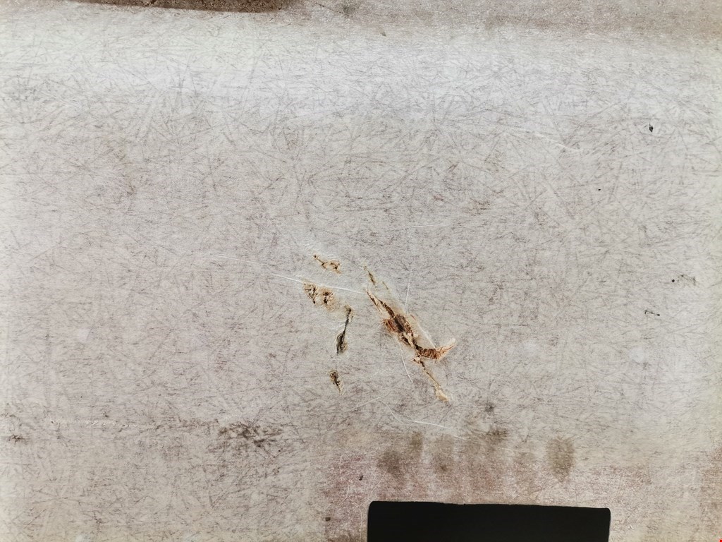 Обшивка потолка BMW X5 E53 1999-2006