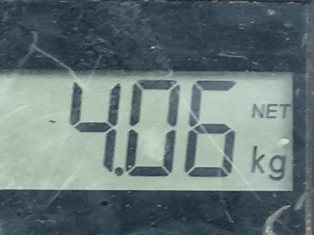 Бампер передний FORD Focus I 1998-2005