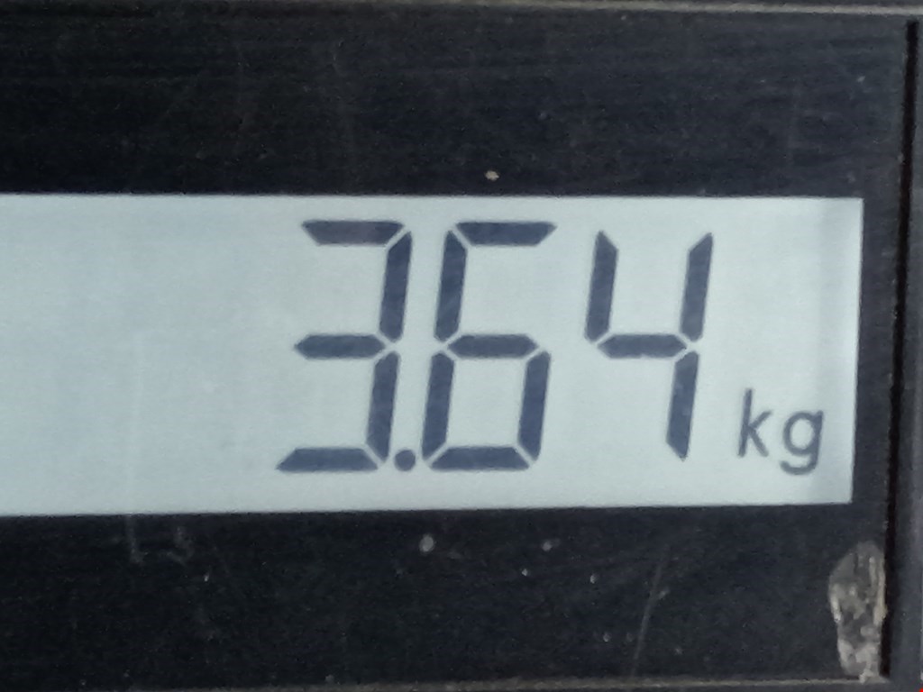 Лонжерон передний левый FORD Focus I 1998-2005