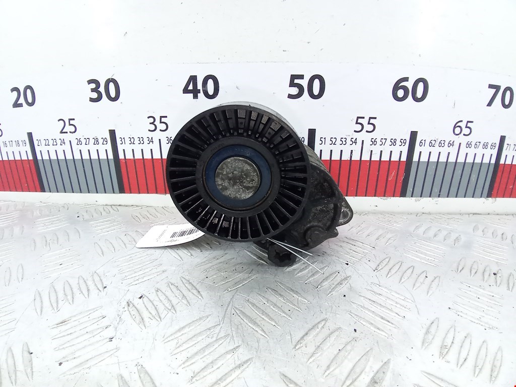 Натяжитель ремня генератора (приводного поликлинового ремня Kia Carnival (Sedona) 2 (VQ) (2006-2014)