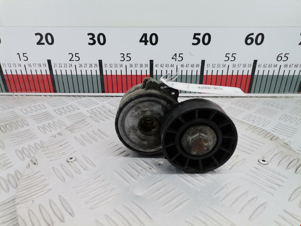 Натяжитель ремня генератора (приводного поликлинового ремня Citroen Xsara (1997-2006)