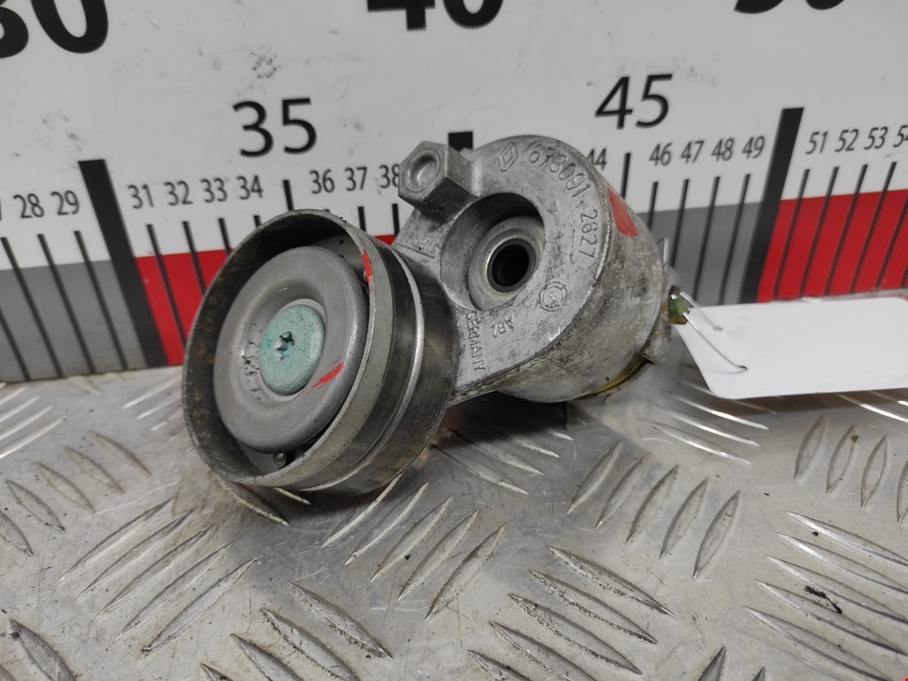 Натяжитель ремня генератора (приводного поликлинового ремня Renault Laguna 2 (2000-2007)