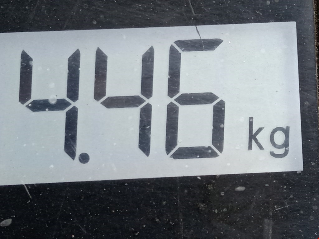 Суппорт передний левый VOLKSWAGEN Passat B5 1997-2005