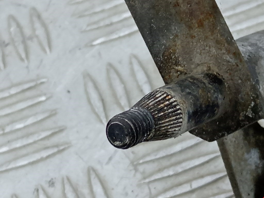 thumb