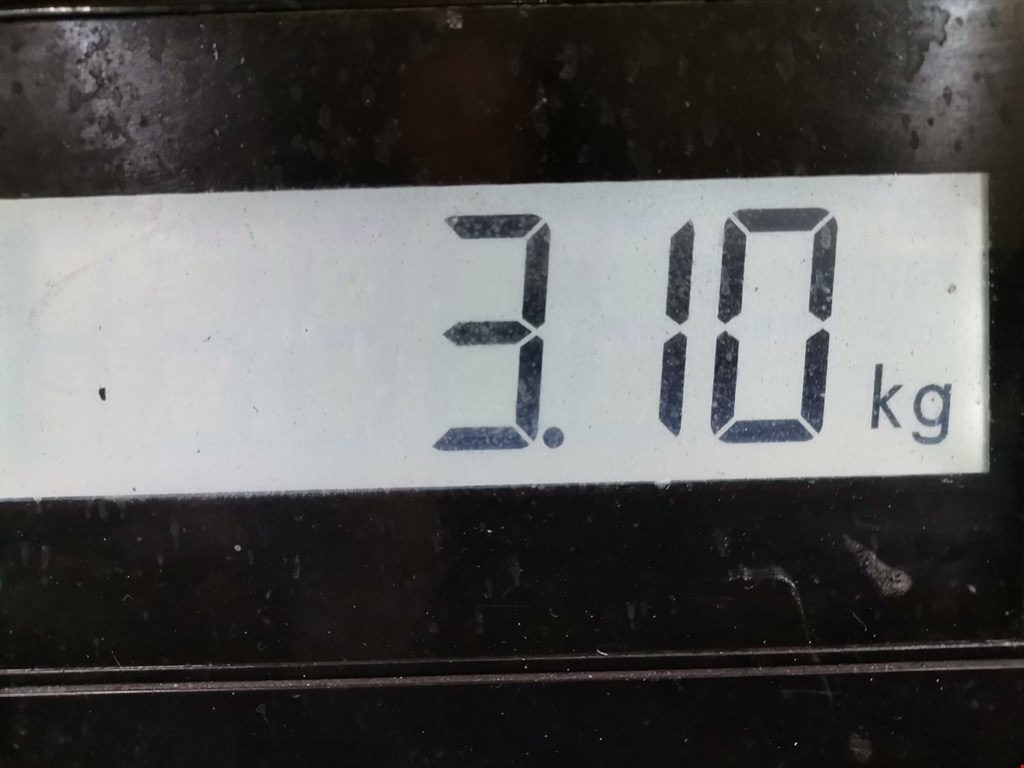 Стабилизатор задний (поперечной устойчивости подвески) ALFA ROMEO 147 2000-2010