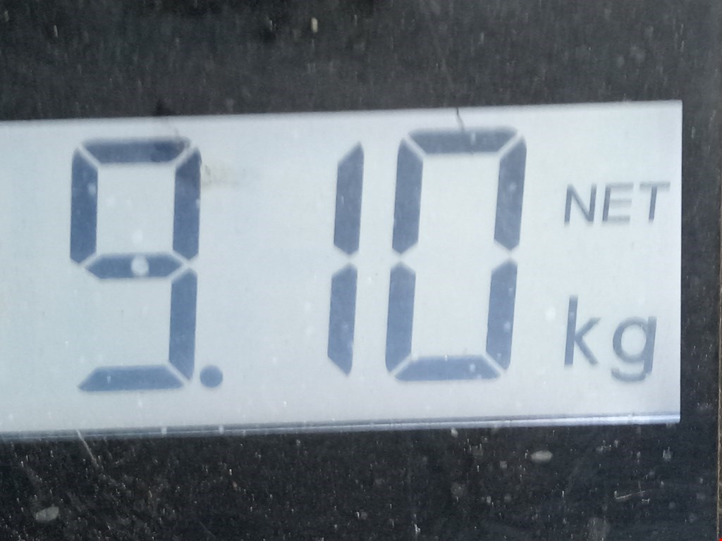 Амортизатор передний правый VOLKSWAGEN Sharan 1995-2010