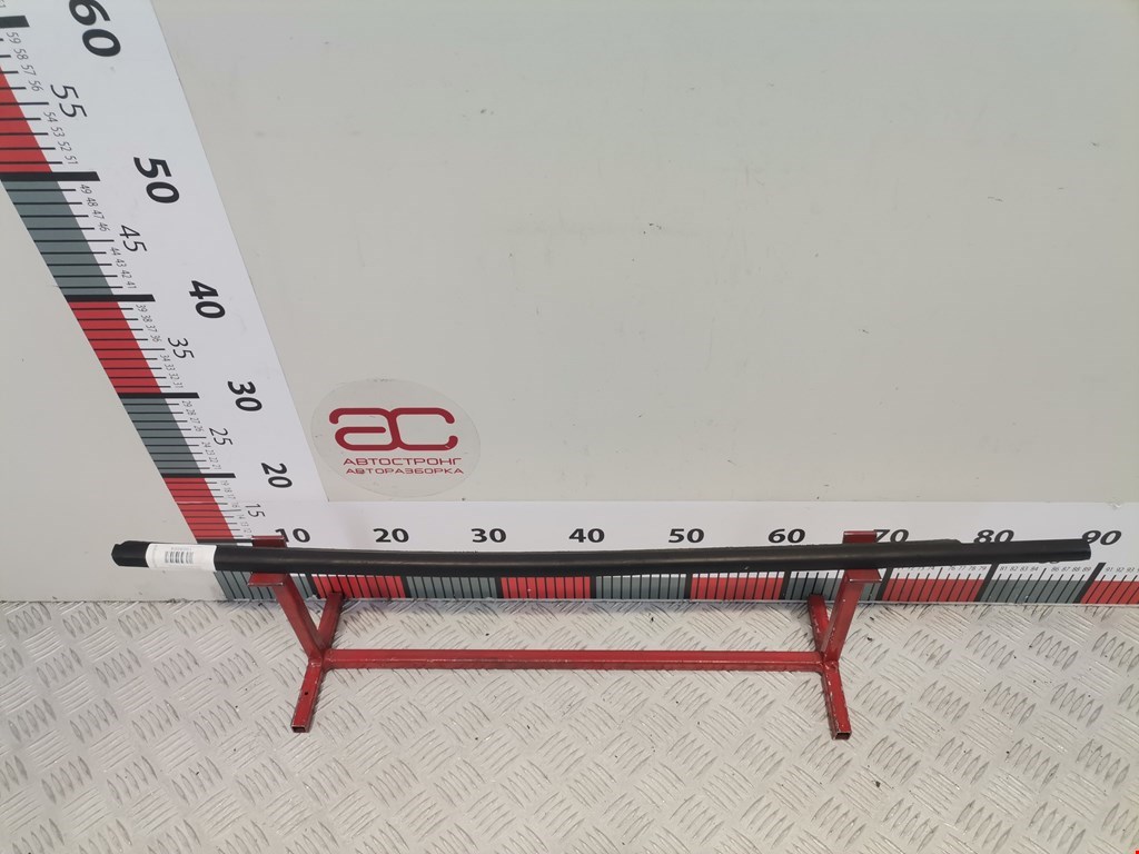 Накладка декоративная (молдинг) стекла двери задней правой Renault Scenic 3 (2009-2016)