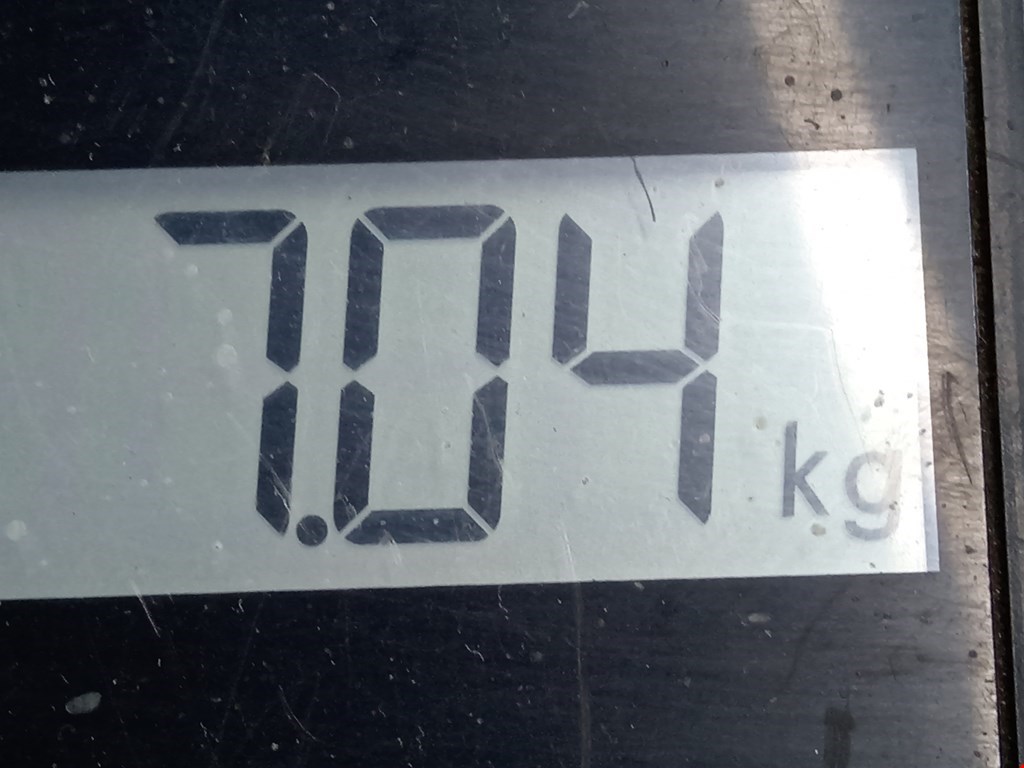 Амортизатор передний левый PEUGEOT 308 2007-2015