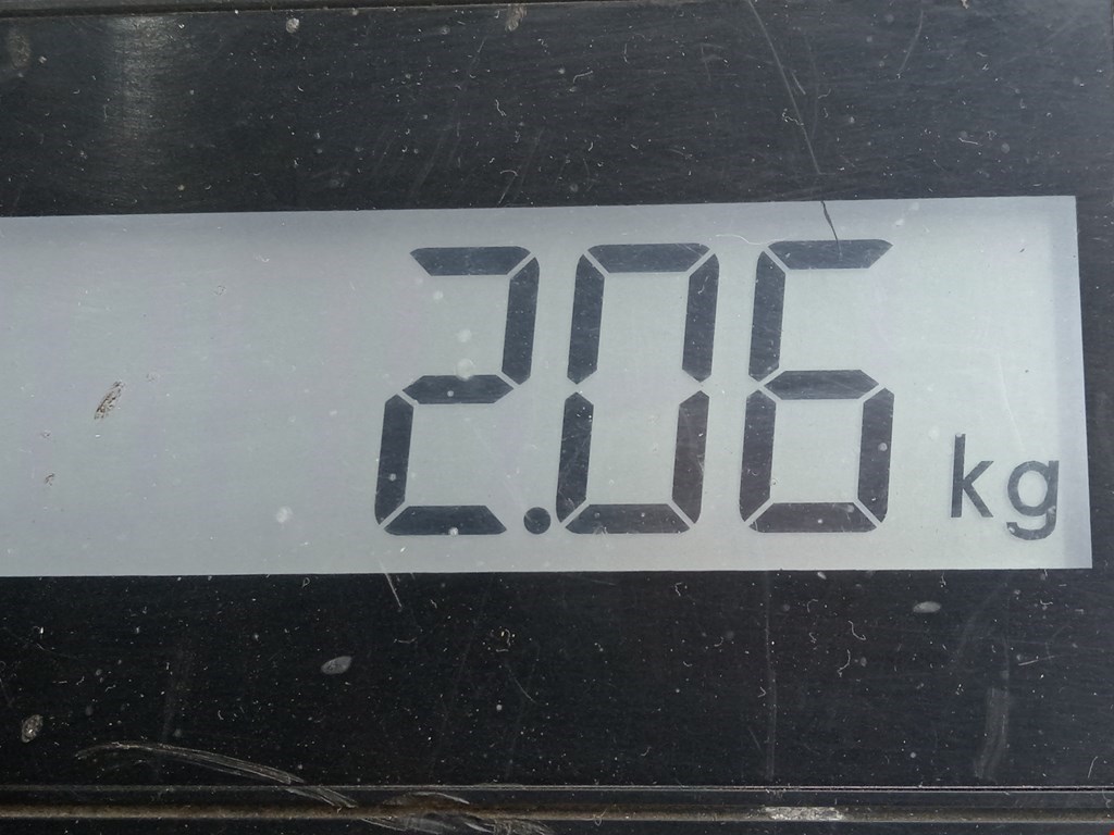 Амортизатор задний левый VOLKSWAGEN Passat B5 1997-2005