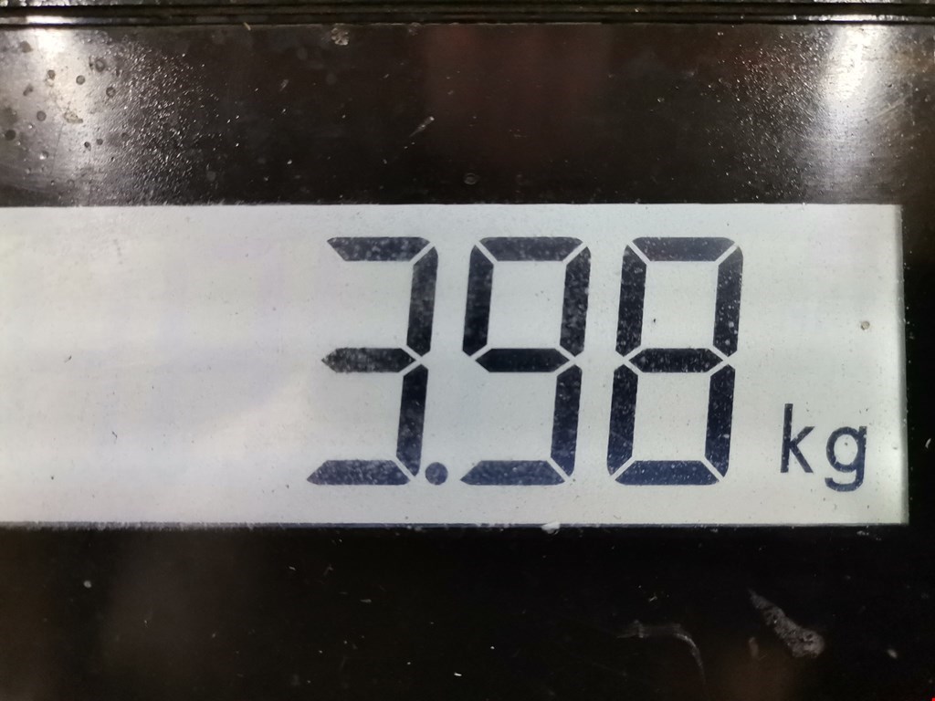 Рычаг передний правый FORD Focus I 1998-2005