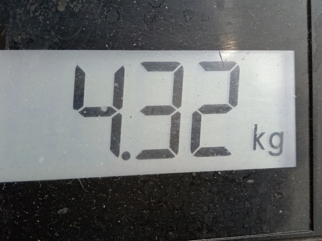 Амортизатор задний левый OPEL Antara 2006-2015