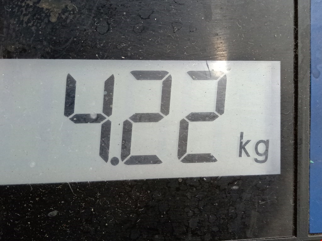 Суппорт передний левый OPEL Corsa D 2006-2014