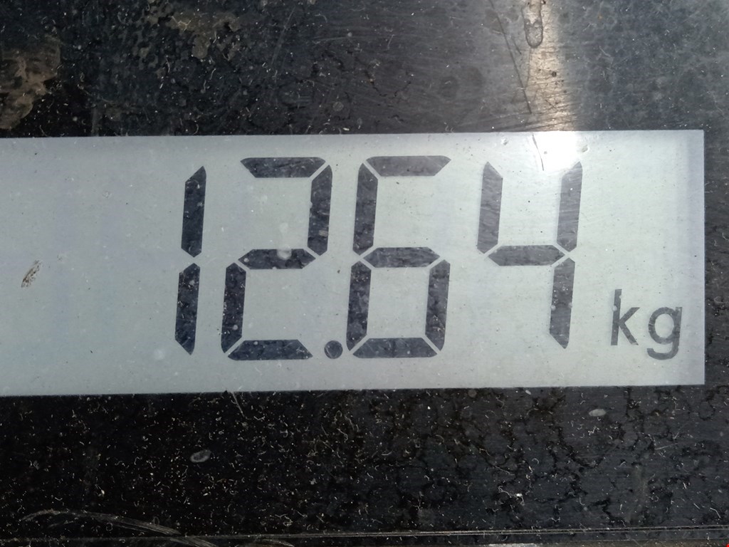 Амортизатор передний левый BMW X5 E53 1999-2006