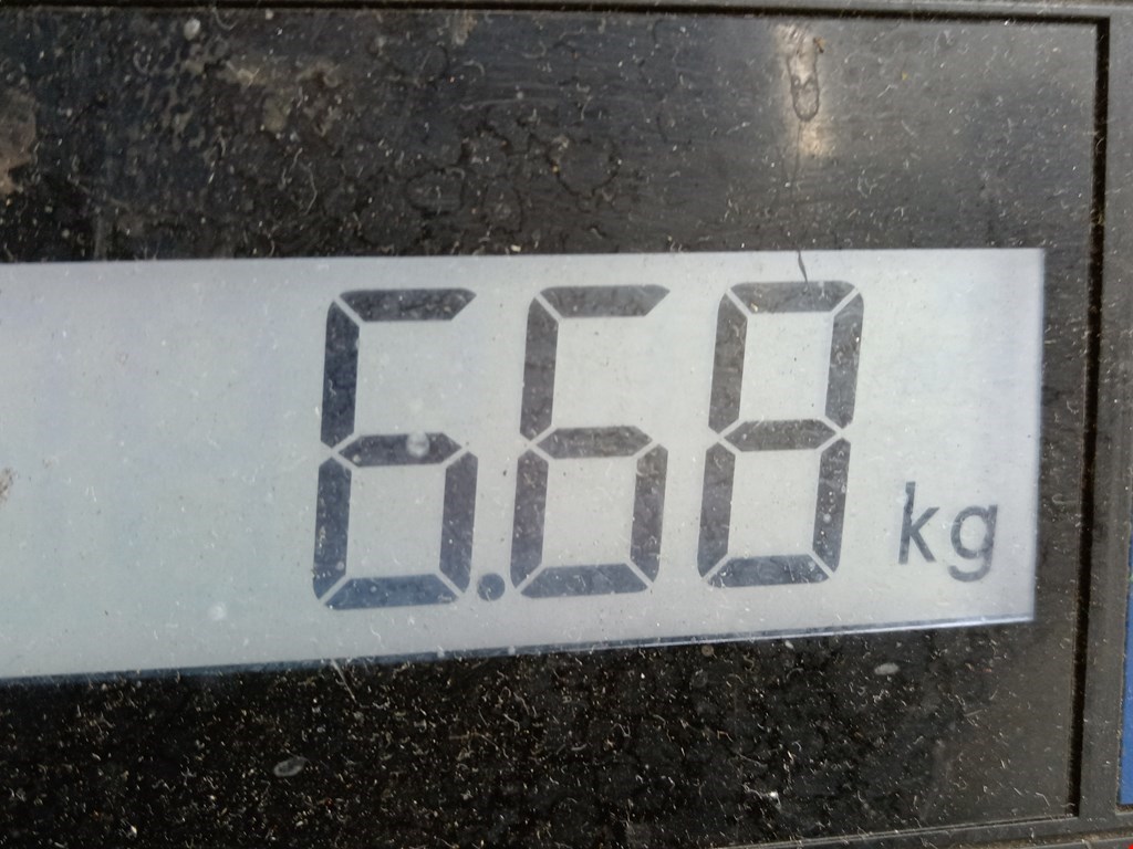 Амортизатор передний левый VOLKSWAGEN Passat B6 2005-2011