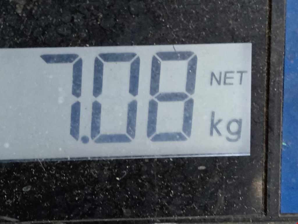 Амортизатор передний левый VOLKSWAGEN Passat B6 2005-2011