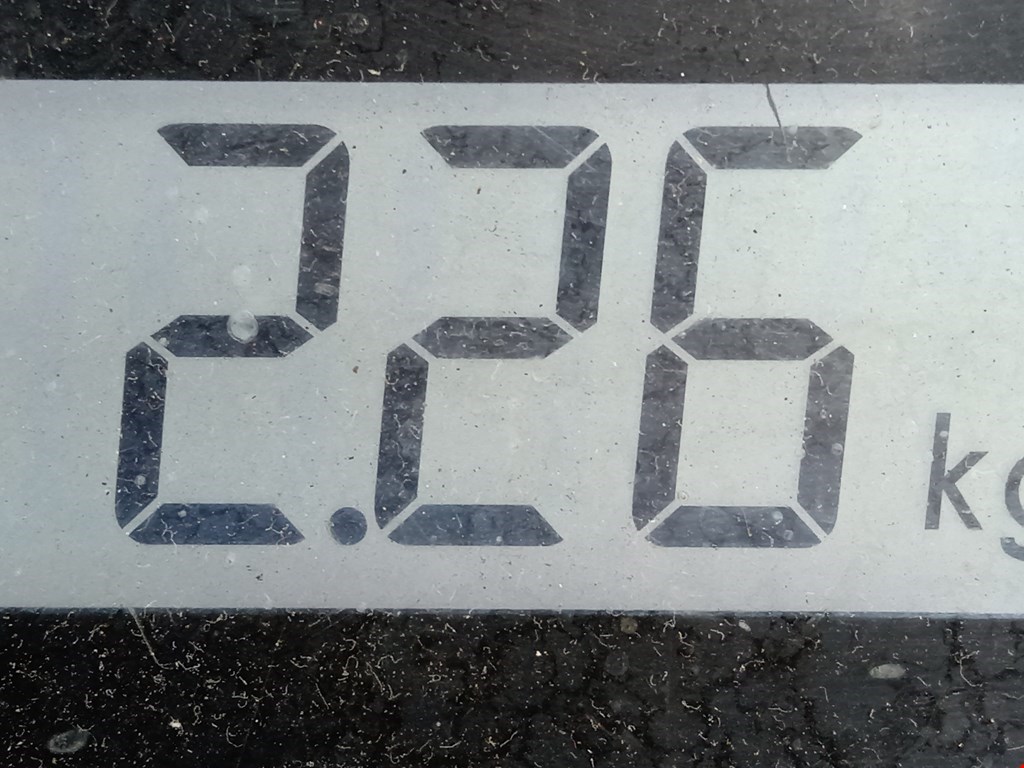 Амортизатор задний правый VOLKSWAGEN Passat B6 2005-2011