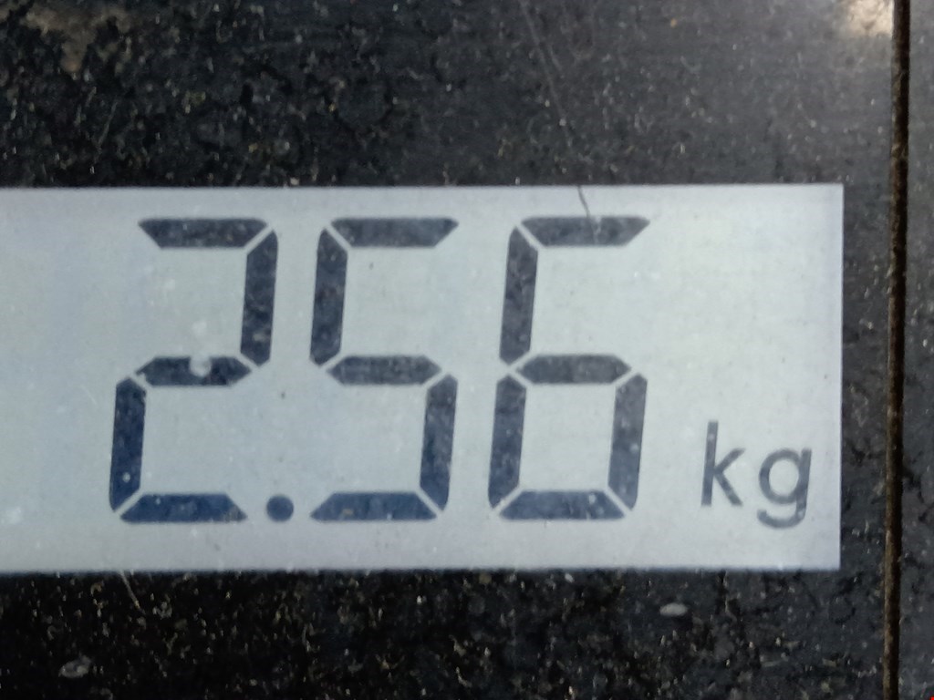 Амортизатор задний правый BMW 1er E81\E87 2004-2011