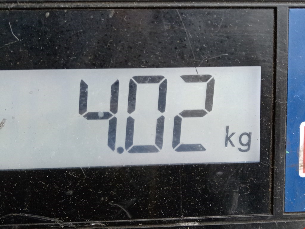 Рычаг передний правый FORD Galaxy 1995-2005