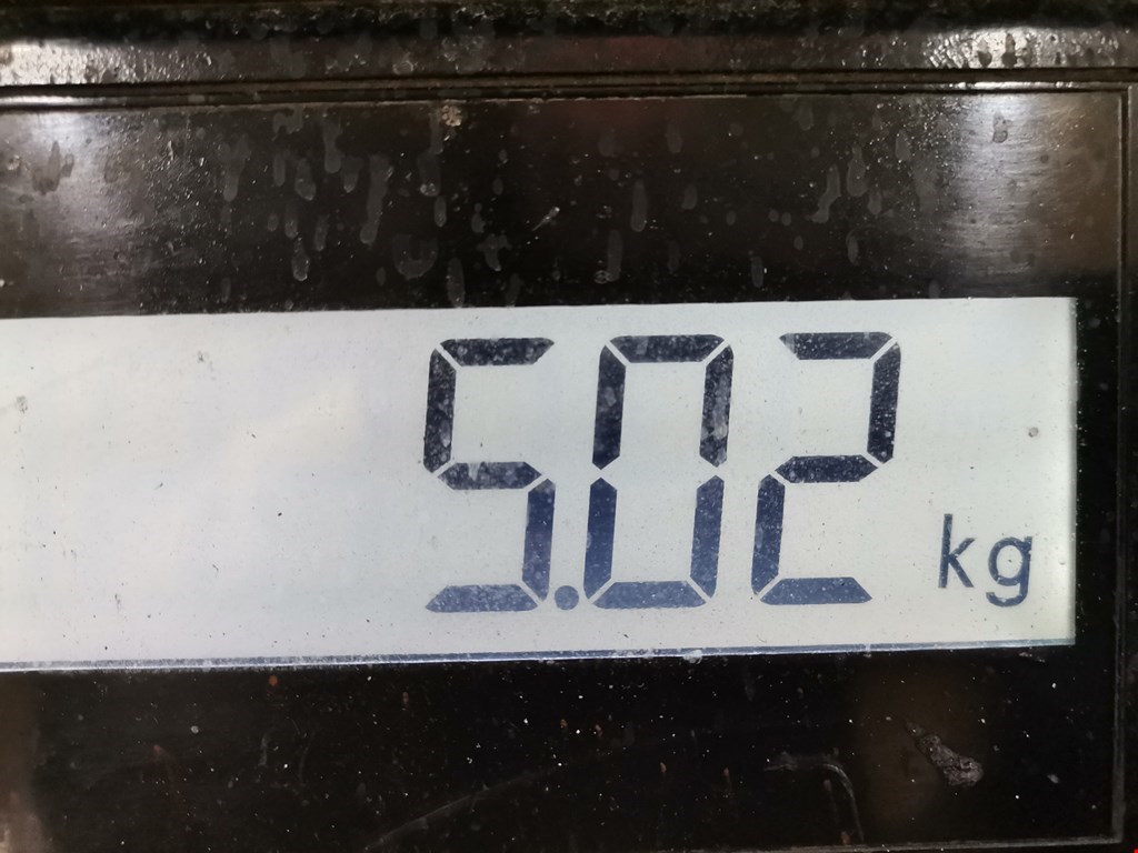 Коллектор выпускной RENAULT Master 1980-1998