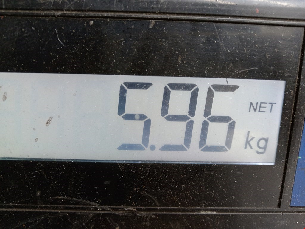 Стабилизатор передний (поперечной устойчивости подвески) VOLKSWAGEN Passat B6 2005-2011