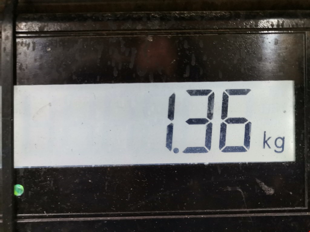 Шестерня коленвала (шкив) RENAULT Megane II 2002-2009