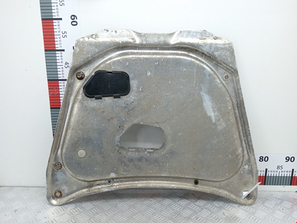 Защита картера (двигателя) BMW X5 E53 1999-2006