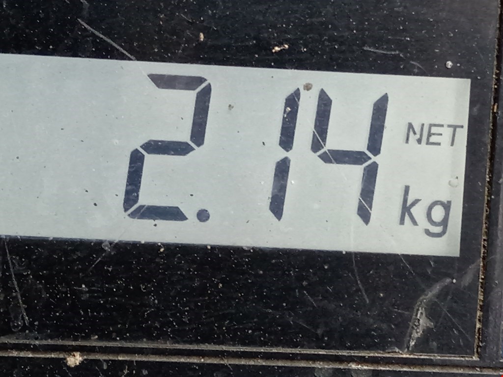 Амортизатор задний правый VOLKSWAGEN Passat B6 2005-2011