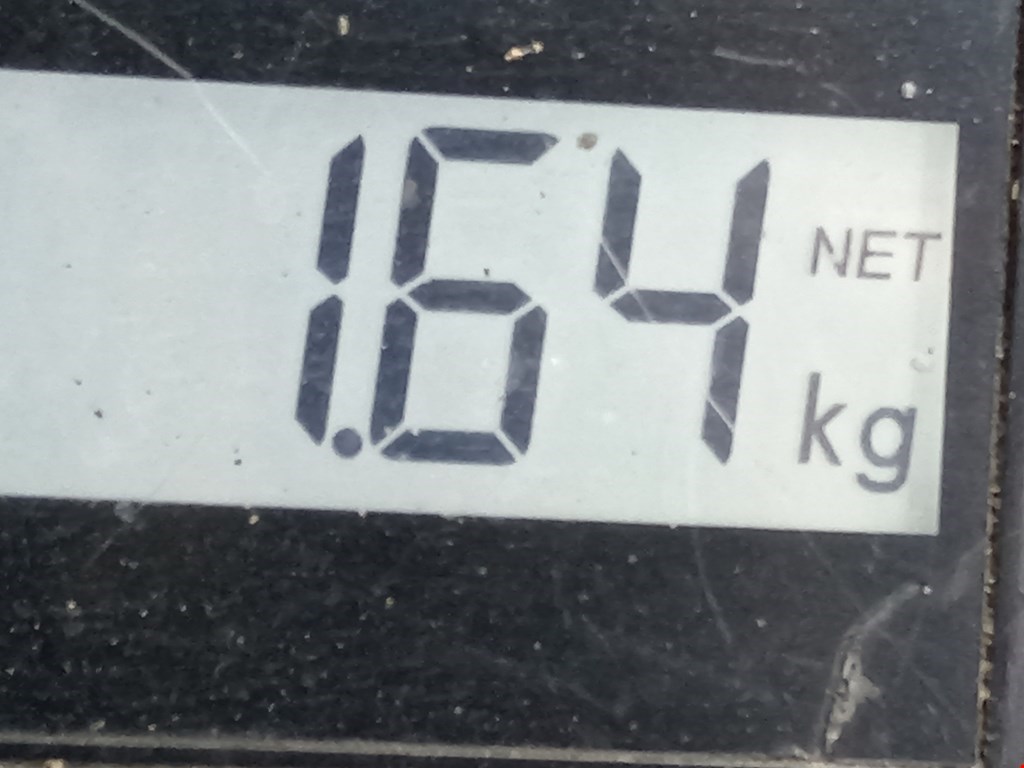 Амортизатор задний левый PEUGEOT 207 2006-2015