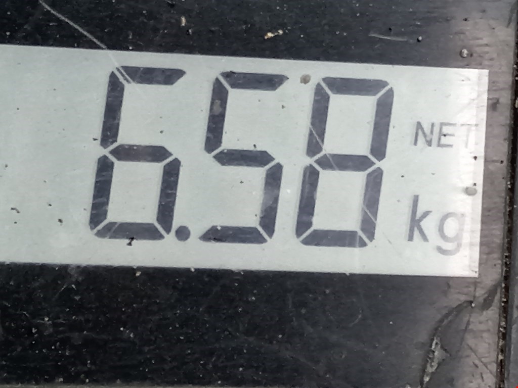 Амортизатор передний правый PEUGEOT 207 2006-2015