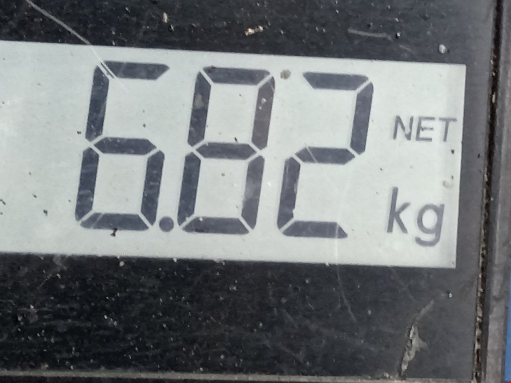 Амортизатор передний левый OPEL Astra H/Family 2004-2015